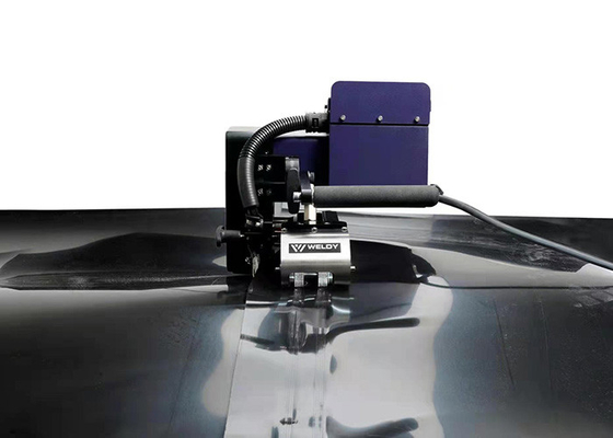 Soudeur Weldy Wgw 300 de cale de HDPE de pp 1750W de longue vie